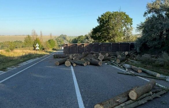 На Черкащині легковик зіштовхнувся з вантажівкою: є загиблий та постраждала