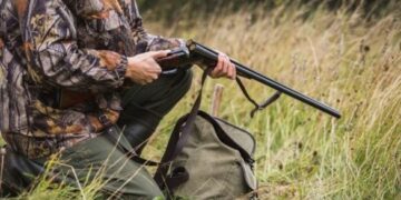 На Черкащині можуть дозволити відстріл сотень диких тварин: останнє слово за головою ОВА