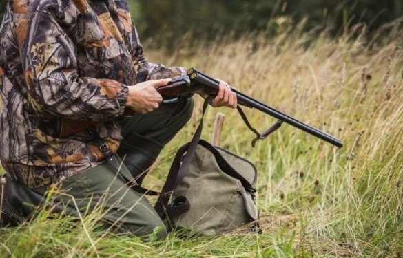 На Черкащині можуть дозволити відстріл сотень диких тварин: останнє слово за головою ОВА