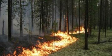 На Черкащині оголосили найвищий рівень пожежної небезпеки