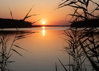 Погода в Запоріжжі 25, 26, 27 серпня – прогноз від синоптикині Інни Лазарок | Новости Запорожья