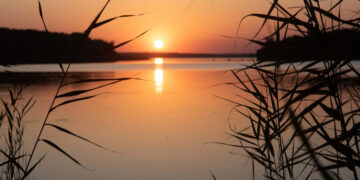 Погода в Запоріжжі 25, 26, 27 серпня – прогноз від синоптикині Інни Лазарок | Новости Запорожья