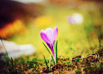 Прогноз погоди у Запоріжжі на 31 липня та 1 серпня – синоптики розповіли, що чекати мешканцям регіону  | Новости Запорожья