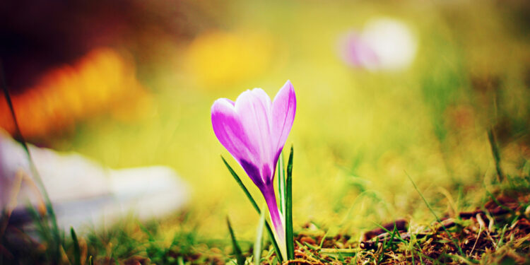 Прогноз погоди у Запоріжжі на 31 липня та 1 серпня – синоптики розповіли, що чекати мешканцям регіону | Новости Запорожья