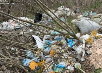 Прокуратура через суд змушує КМДА прибрати стихійні сміттєзвалища на Троєщині