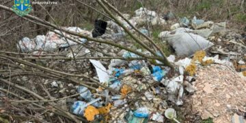 Прокуратура через суд змушує КМДА прибрати стихійні сміттєзвалища на Троєщині