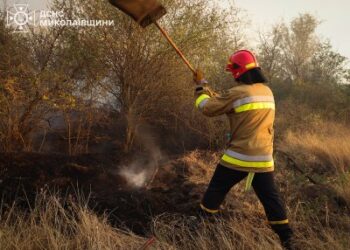Рятувальники продовжують чергувати після пожежі в Андріївському лісовому урочищі » Миколаївський Оглядач