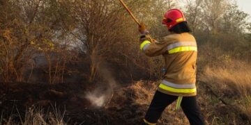 Рятувальники продовжують чергувати після пожежі в Андріївському лісовому урочищі » Миколаївський Оглядач