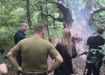 У Києві підпалили 400-річний дуб: арборист назвав це злочином проти природи