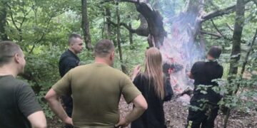 У Києві підпалили 400-річний дуб: арборист назвав це злочином проти природи
