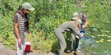 У Корсуні-Шевченківському скаржаться замор риби у річці: що показали результати перевірки