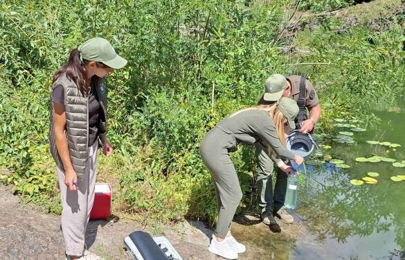 У Корсуні-Шевченківському скаржаться замор риби у річці: що показали результати перевірки