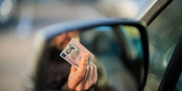 Водійські посвідчення без іспитів: як розпізнати шахраїв |  |