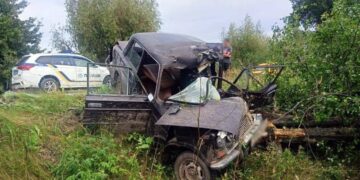 Житель Шепетівщини не впорався з керуванням та зіткнувся з деревом —Хмельнитчина