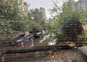 Злива, град і буря: негода паралізувала Київ – підтоплені вулиці, зірвані фасади й повалені дерева.