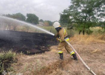 13 вересня на Миколаївщині виникло 23 пожежі, одна з них — внаслідок обстрілу » Миколаївський Оглядач
