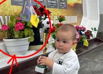 Біля Стели пам’яті у Лисянці невідомі крадуть квіти