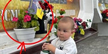 Біля Стели пам’яті у Лисянці невідомі крадуть квіти