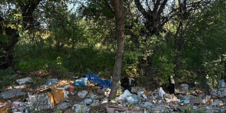 Біля Житомира екоінспектори виявили шість стихійних сміттєзвалищ: надіслано вимоги щодо ліквідації | Журнал Житомира