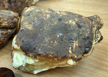 Бурштин з Рівненщини, який нелегально хотіли вивезти закордон, передадуть у держсховище