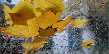 Дощі дісталися Черкащини: де найбільше випало опадів