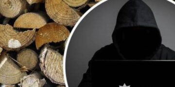 Двічі по 11 тис грн: шахраї ошукали мешканок Шепетівщини на продажі дров —Хмельнитчина