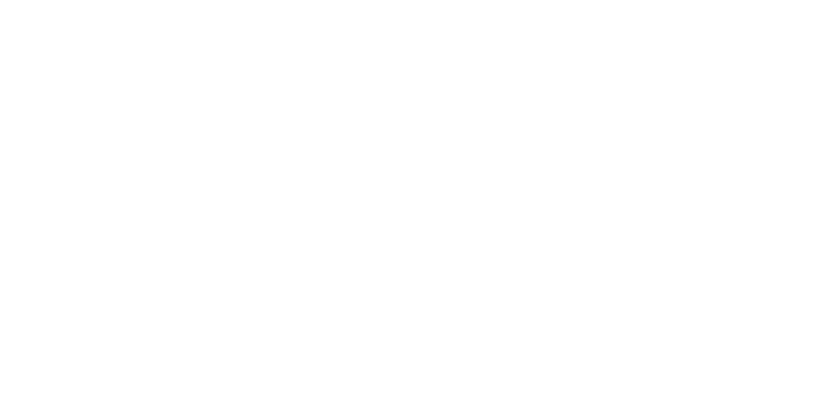 Фернанду Сантуш – на выход! Сборную Азербайджана по футболу “обезглавили” накануне решающего матча с Украиной