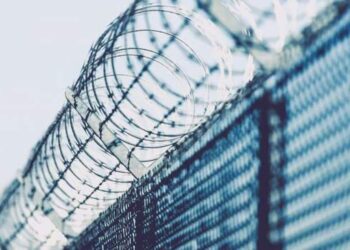 Керівника окупаційного підприємства Миколаївщини засудили :: Інтент :: Суспільно-політичне видання:: Регіональна мережа якісної журналістики