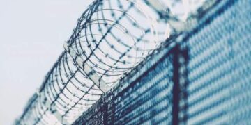 Керівника окупаційного підприємства Миколаївщини засудили :: Інтент :: Суспільно-політичне видання:: Регіональна мережа якісної журналістики