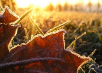 Можливі перші заморозки: на Черкащині прогнозують різку зміну погоди наприкінці вересня