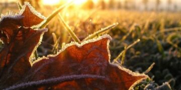 Можливі перші заморозки: на Черкащині прогнозують різку зміну погоди наприкінці вересня