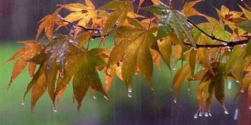 На Черкащині синоптики оголосили штормове попередження