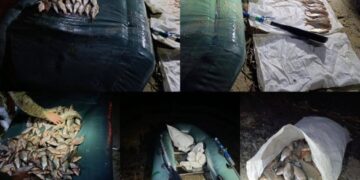 На Черкащині затримали браконьєра, який наловив риби на понад мільйон гривень