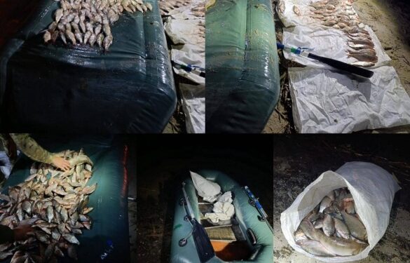 На Черкащині затримали браконьєра, який наловив риби на понад мільйон гривень