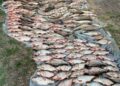 На Дніпрі в Черкасах затримали браконьєрів з уловом