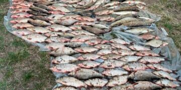 На Дніпрі в Черкасах затримали браконьєрів з уловом