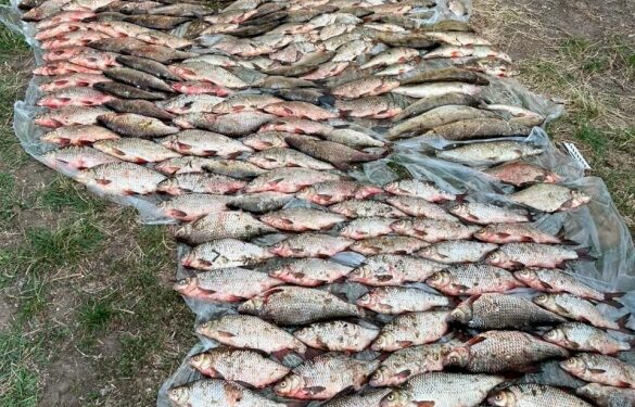 На Дніпрі в Черкасах затримали браконьєрів з уловом