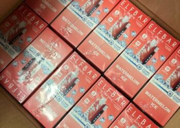 На Львівщині водій рейсового автобуса сховав від митників майже 700 вейпів