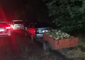 На Запоріжжі екоінспектори та поліція затримали браконьєра з причепом спиляних дерев – на нього склали два потокола | Новости Запорожья