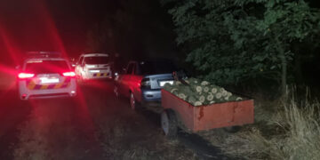 На Запоріжжі екоінспектори та поліція затримали браконьєра з причепом спиляних дерев – на нього склали два потокола | Новости Запорожья