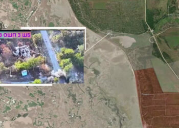 На Запоріжжі ЗСУ знищили ворожу піхоту під Приморським (відео) | Новости Запорожья