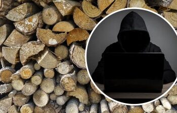 Ошукали громадян на майже 250 тис грн під приводом онлайн-продажу неіснуючих дров: на Первомайщині поліцейські завершили розслідування відносно угруповання шахраїв » Миколаївський Оглядач