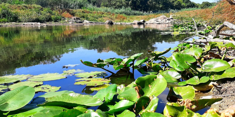 Погода у Запоріжжі 11–12 вересня – прогноз синоптиків | Новости Запорожья