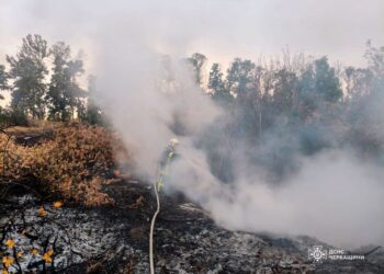 Рятувальники Черкащини ліквідовують пожежі на відкритих територіях — Новости Черкасс