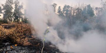 Рятувальники Черкащини ліквідовують пожежі на відкритих територіях — Новости Черкасс