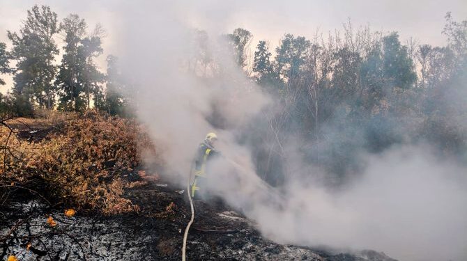 Рятувальники Черкащини ліквідовують пожежі на відкритих територіях — Новости Черкасс