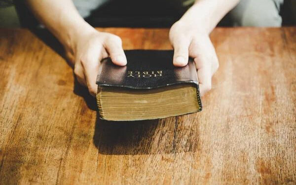 Сенс притчі про сіяча