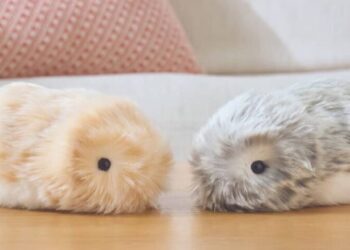 ШІ-тваринка що вчиться у свого господаря: Casio представила інтерактивну іграшку Moflin – Экономика