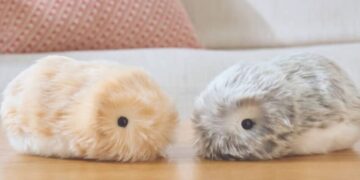 ШІ-тваринка що вчиться у свого господаря: Casio представила інтерактивну іграшку Moflin – Экономика