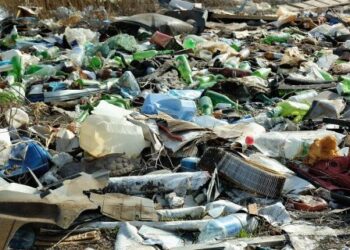 Стихійне сміттєзвалище на Троєщині – на КМДА подали до суду